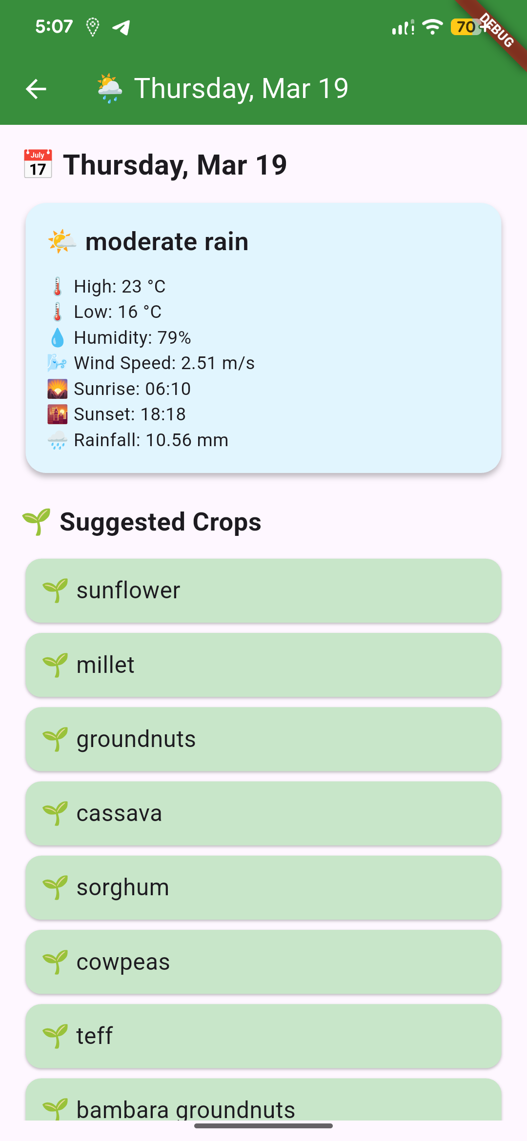 Daily weather details screen
